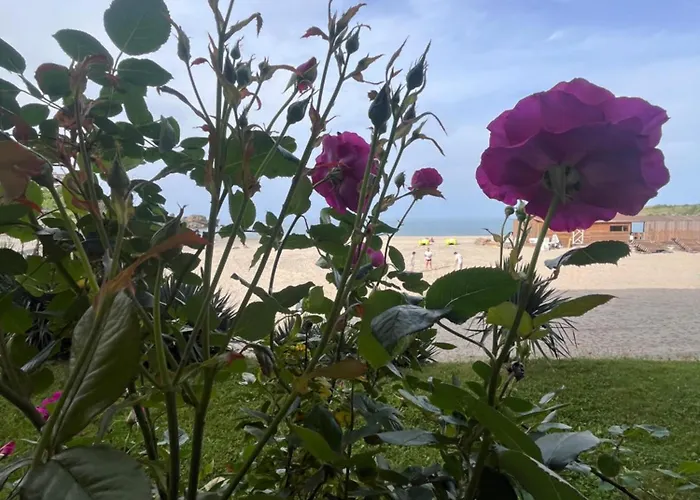 شقة Primea Private تساريفو