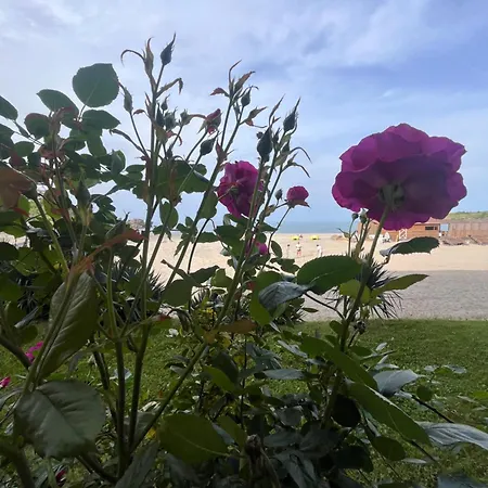 Апартамент Primea Private Царево